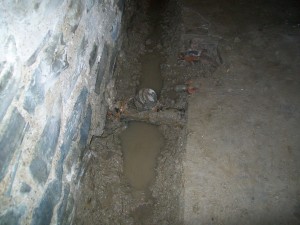 Plumbing & Waterproofing Service  